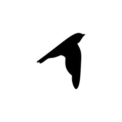 Flying bird silhouette isolated on white background. Vector illustration