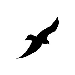Flying bird silhouette isolated on white background. Vector illustration