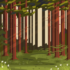 A view of the forest during sunset with lush green grass and trees.