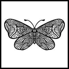 a hand sketched illustration of a single butterfly