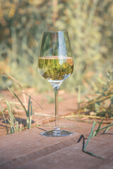 Glass of white wine stands outdoors on wooden boards surrounded by green grass on sunny day