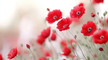 Naklejka premium Delicate white and red flowers in soft focus with bright light highlighting freshness gentleness and floral tranquility suitable for spring themes and gentle design backgrounds