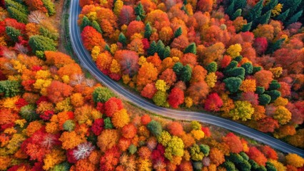Fototapeta premium Autumnal Road Winding Through Vibrant Forest Canopy, A Scenic Aerial View of Fall Foliage