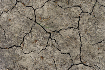 dry cracked soil