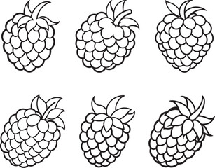 set of raspberry line art, black outline, vector and illustration, coloring book page line art drawing
