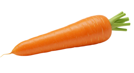 A vibrant carrot perched in stark contrast against the dark showcasing its orange hue and green top