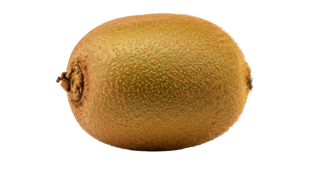 A fuzzy golden orb floats in darkness ripe with tropical promise