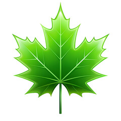 Vibrant Green Maple Leaf Image Nature Photography on transparent background