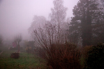 Nebel