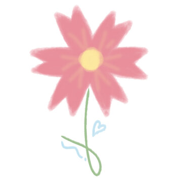 pink daisy isolated on white