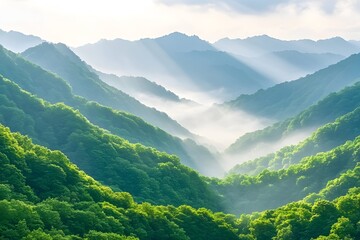 Naklejka premium Sunlit mist-shrouded valley nestled among lush green mountains