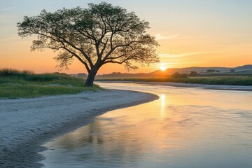 Serene sunrise over a calm river, a lone tree silhouetted against the golden sky.