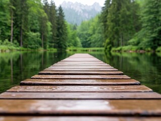Obraz premium Wooden path through dense green forest with tall trees and perspective alignment captured in daylight showing immersive outdoor experience of tranquil natural journey in environmental trail photo