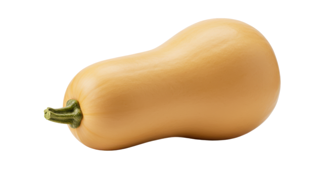 Butternut squash shines with organic grace on a stark black canvas