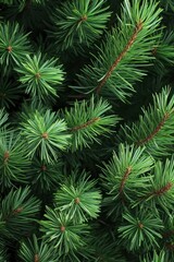 Lush Green Pine Needle Background for Nature and Seasonal Designs