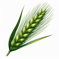 Detailed illustration of a green wheat spike