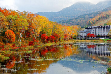 Autumn scenery of colorful trees by Hasuike Pond with beautiful reflections in the lake water and a resort hotel by the mountainside in background, in Shigakogen Highland National Park, Nagano, Japan