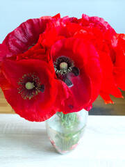 Still life with deep red flowers. Bouquet of poppy flowers (Papaver) in a glass vase on the table. Beautifully and originally designed delicate bouquet (bunch) of bright red decorative poppies