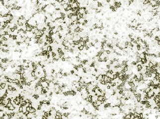 Mold like grunge texture background