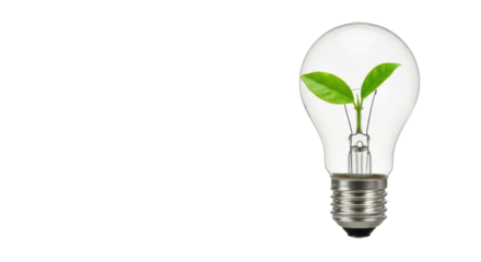 Isolated Light Bulb with Green Plant Inside Eco Energy