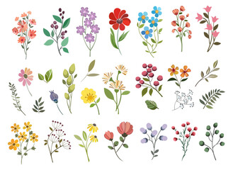 Obraz premium Colorful vector collection of meadow flowers, herbs, and decorative leaves. Hand-drawn floral set with berries and foliage, perfect for nature and vintage designs