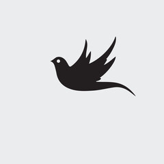 Fototapeta premium vector illustration of a bird