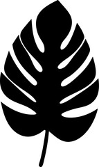 Tropical Leaves  Vector Illustration
