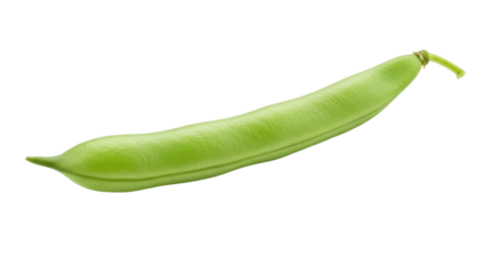 Fresh green bean with stem angled on black