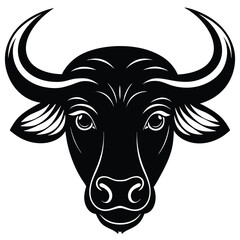 bull head isolated on white