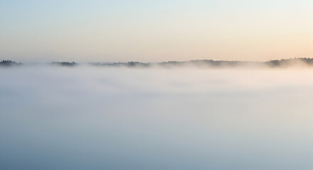 Naklejka premium Landscape Above the Clouds at Dawn Showing Silhouette of Trees