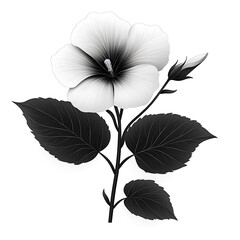 Morning glory floral print silhouette design high resolution picture