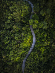 Rainforest ecosystem and healthy environment concept, Road in the middle of the forest Concept of using electric cars to protect the environment and transportation electric vehicle driving on asphalt