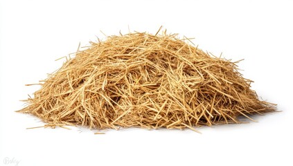A mound of dry, light brown straw sits on a white background, its texture rough and uneven.