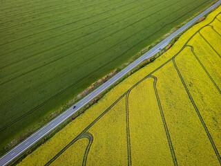 Splitting road