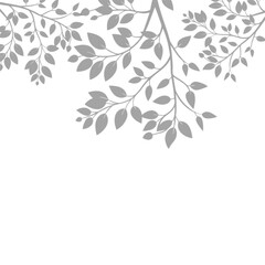 Shadow overlay effect of blurred natural leaf on transparent background. Tree branch leaves shadow background. gray shadow and light effect, summer  mockup design elements, png shadow background
