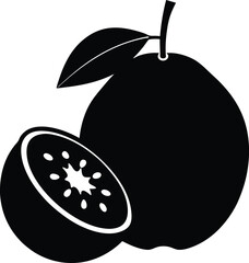 vector illustration of an orange