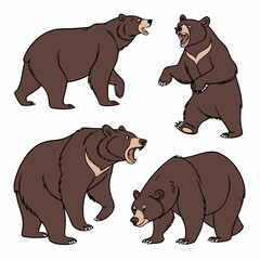 Asiatic Black Bear Illustrations: 4 Poses, Brown.