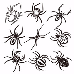 Professional Spider Vector Illustrations: 9 Unique Designs.