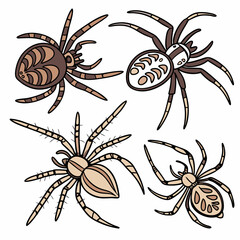 Hand-Drawn Spider Illustrations: Four Detailed Designs in Earthy Tones.