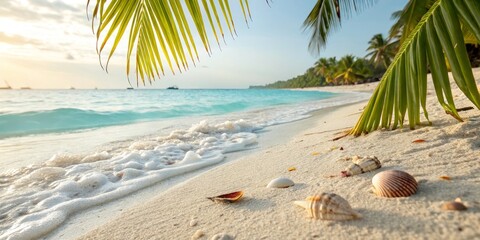 Tropical Beach Sunset Palm Fronds, Ocean Waves, Seashells, Paradise. Beach,Seashells