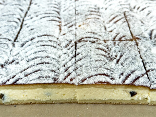 Sliced curd cheese yeast cake with powdered sugar on baking paper, traditional homemade dessert.
