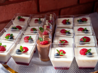 Mini panna cotta desserts with raspberry, blueberry, and mint decoration, arranged on a glass...