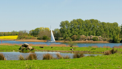 Segeln auf der Schlei © helmut Schmidt