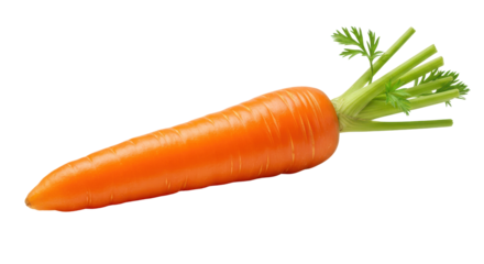 Vibrant carrot on black leaves green a culinary gem