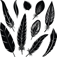 black and white feathers vector