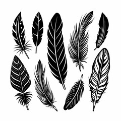 set of black feathers