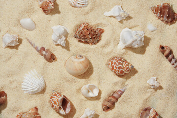 Summer nautical pattern with brown and white shells on light colored sand.