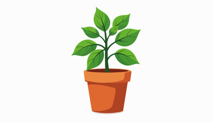 Fototapeta premium Vibrant green basil plant in terracotta pot, fresh culinary inspiration