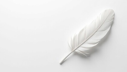 Obraz premium White feathers, soft texture on stark white background, wallpaper, aesthetic