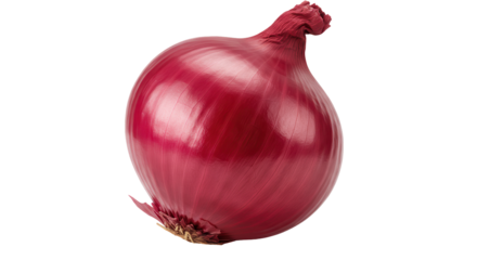 Ruby orb in the void A crimson onion dances in the darkness